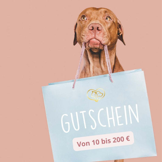 Hund mit einem Geschenkgutschein in der Schnauze, Wert von 10 bis 200 Euro.