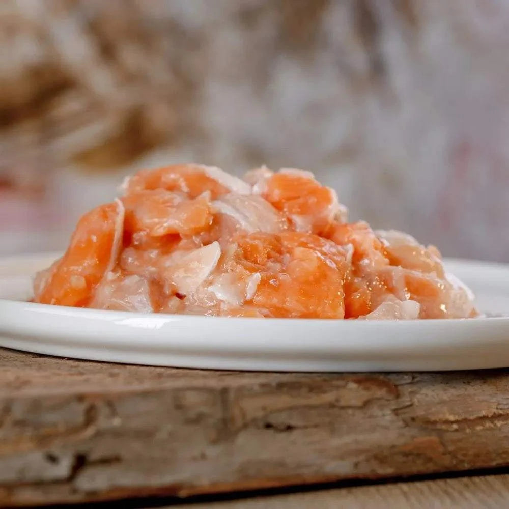 Lachswürfel auf einem Teller, frische Stücke vom norwegischen oder schottischen Lachs, reich an Omega-3-Fettsäuren, geeignet für Hunde und Katzen.