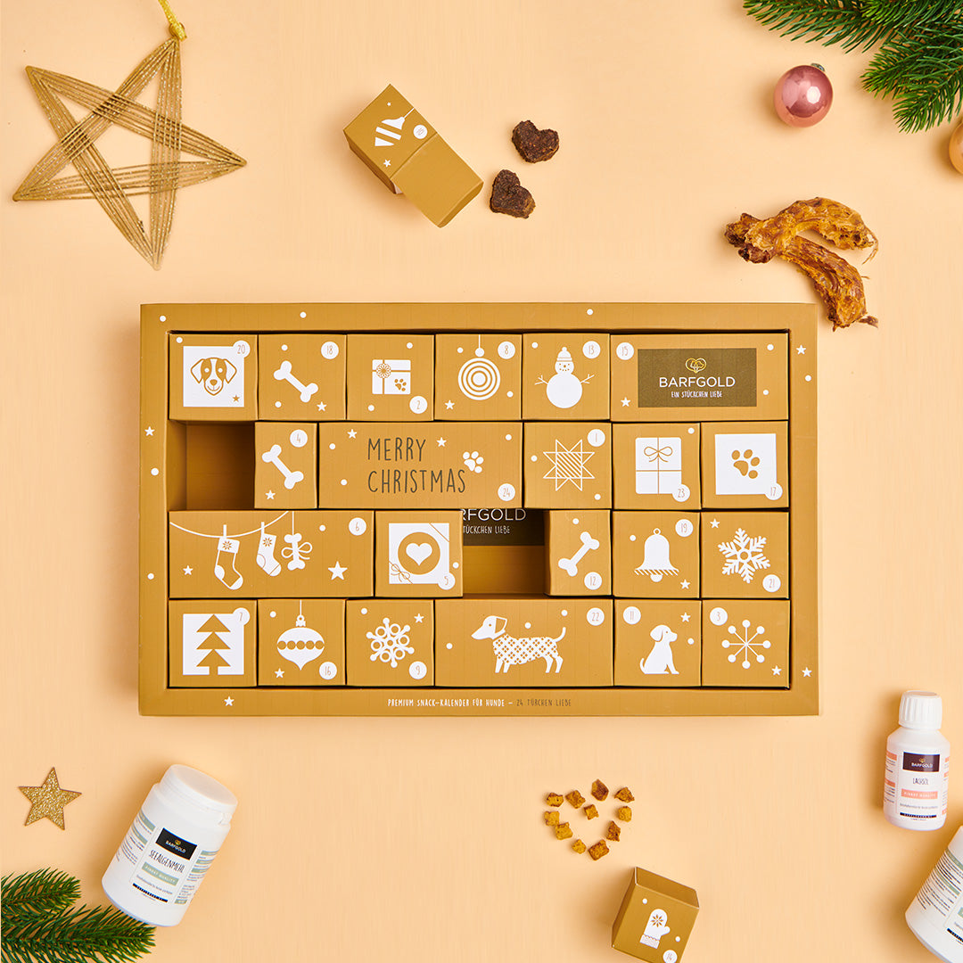 Adventskalender 2025