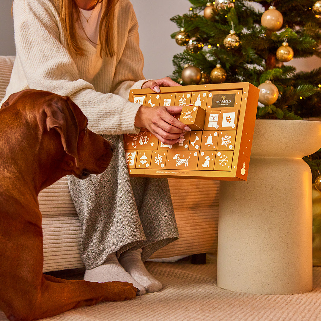 Adventskalender 2025