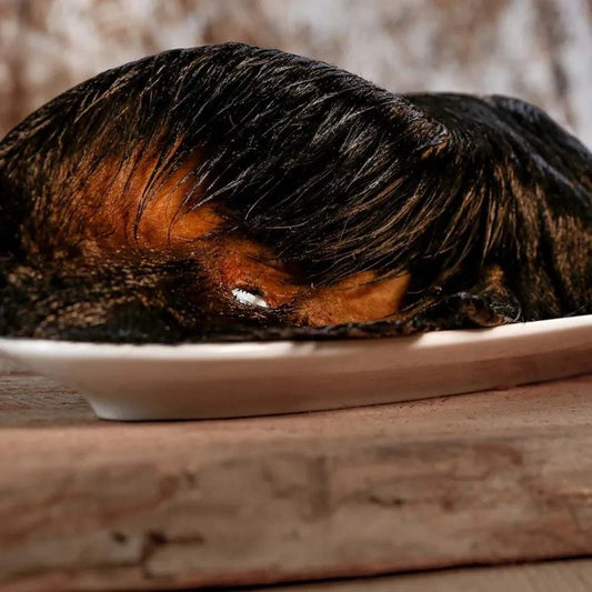 Rinderohren mit Fell auf einem Teller, leckere Hundebeschäftigung mit wurmprophylaktischem Effekt.