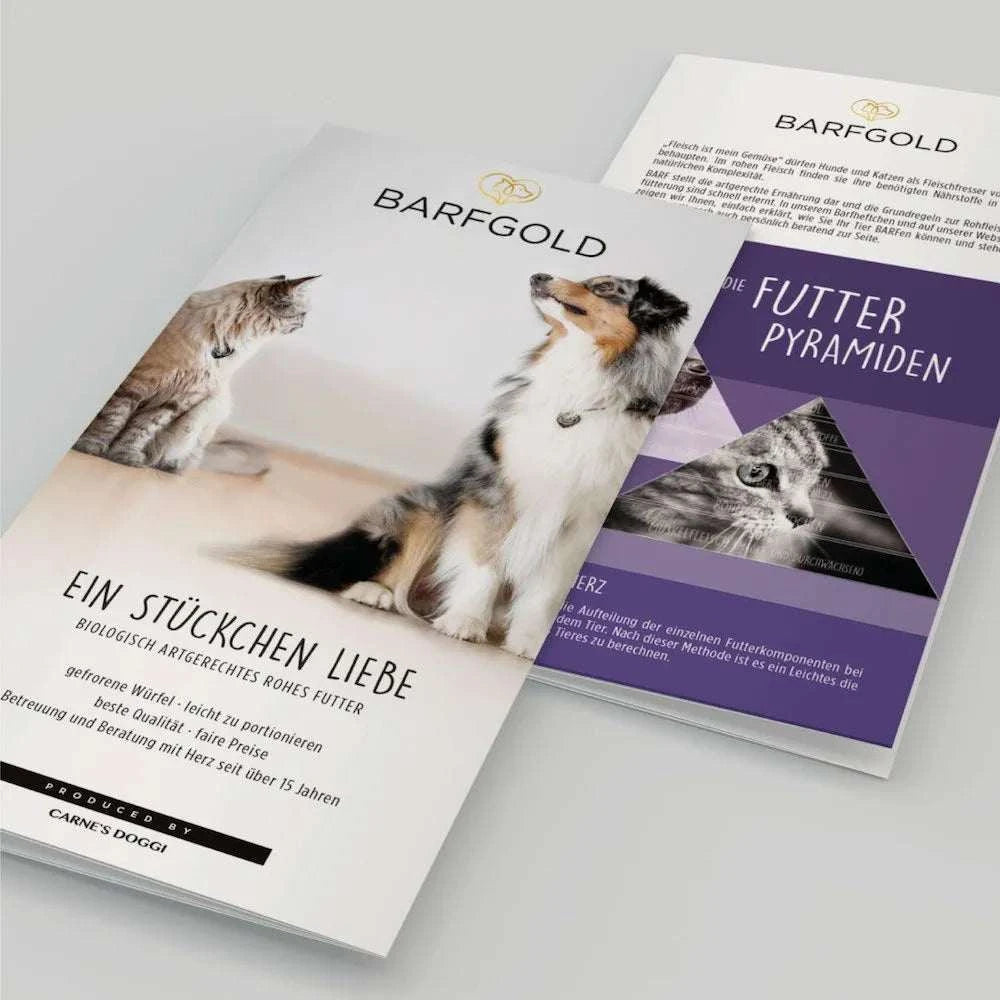 BARFGOLD Flyer über die Welt des BARFens und hochwertige Fleischprodukte für Haustiere.