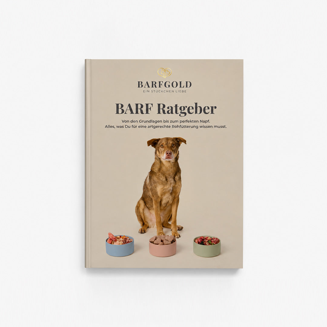 BARF-Booklet