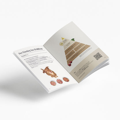 BARF-Booklet
