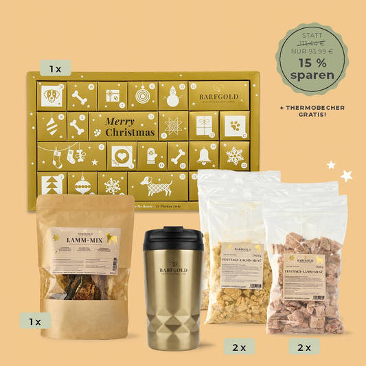 Weihnachts-Bundle Mix