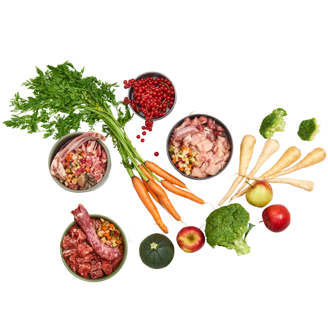 BARFen für Anfänger | BARFGOLD