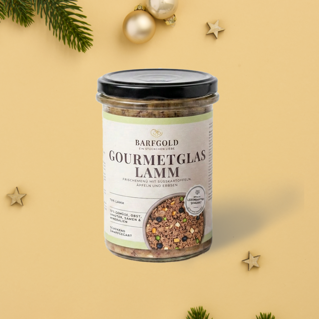 Gourmetgläser Weihnachts-Bundle