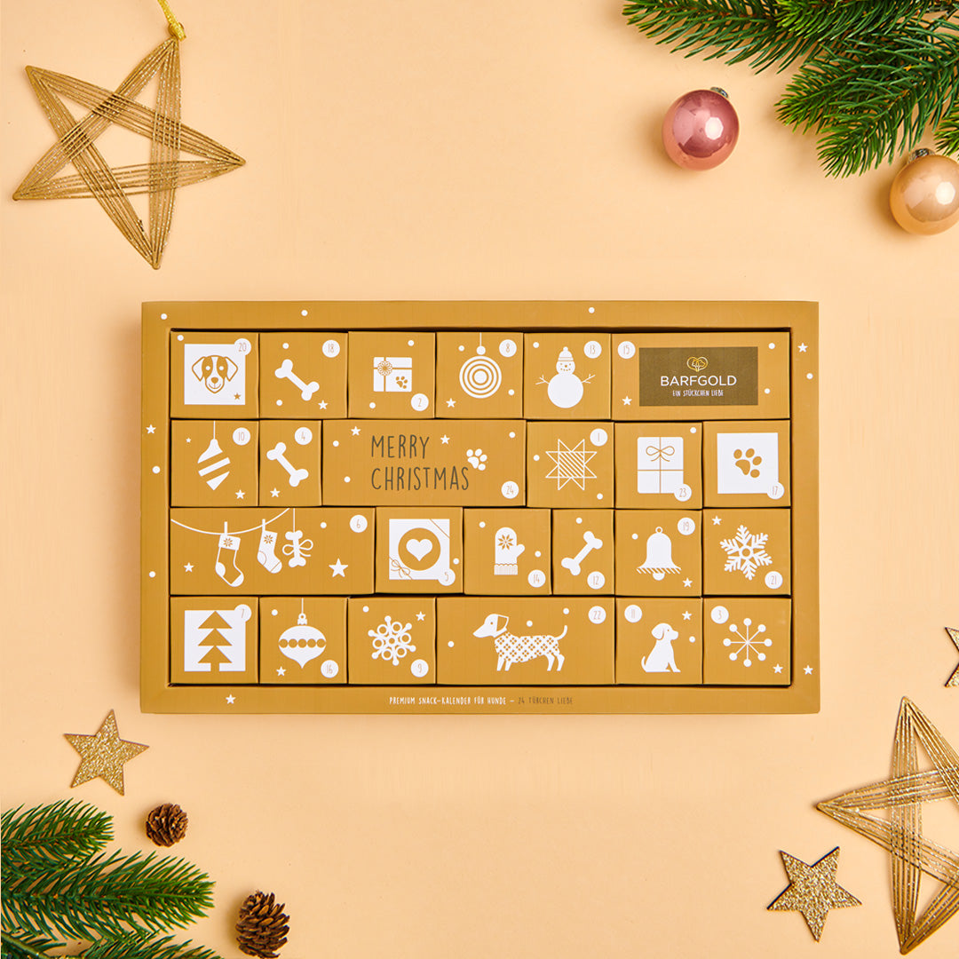 Adventskalender 2025