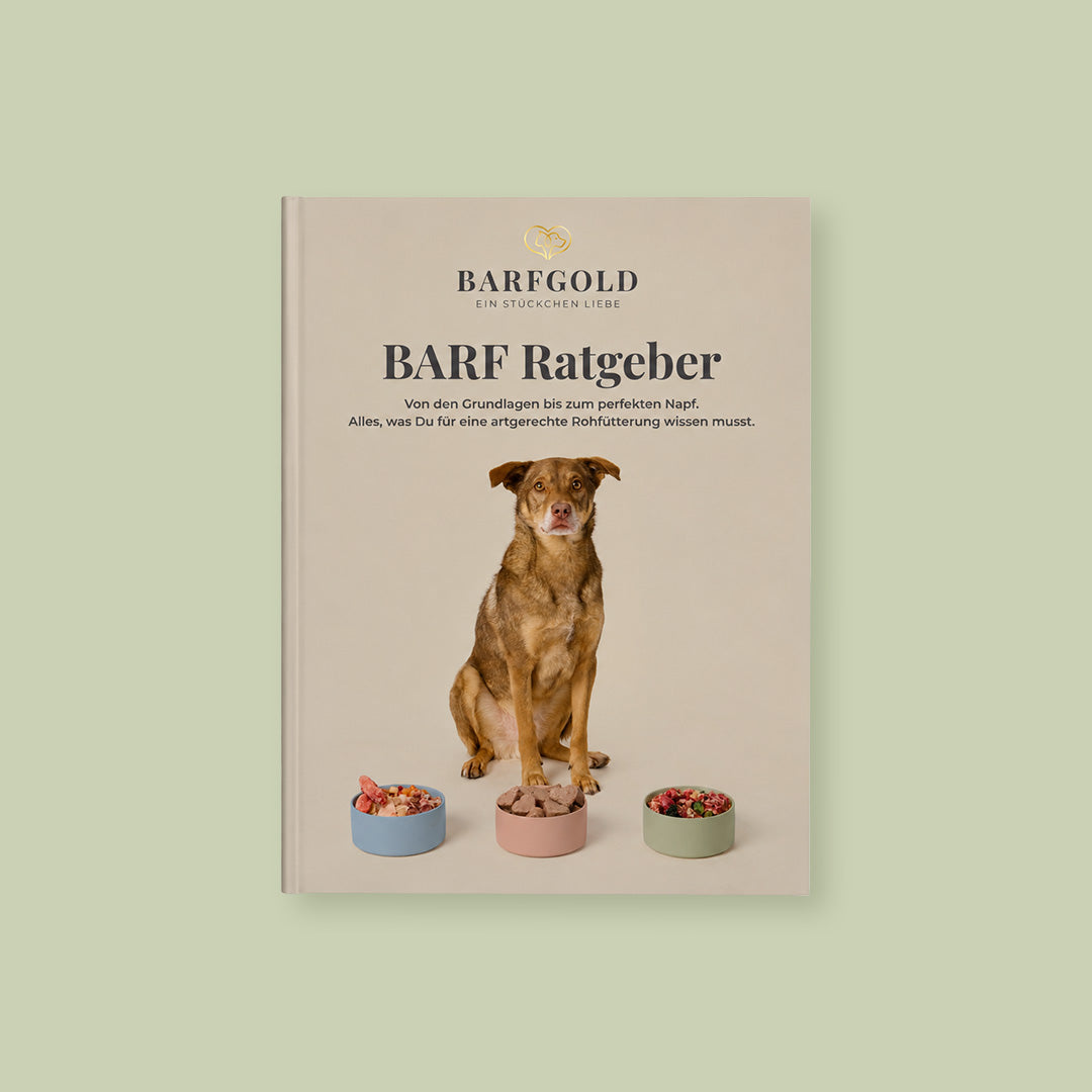 Starterpaket Der Feinschmecker