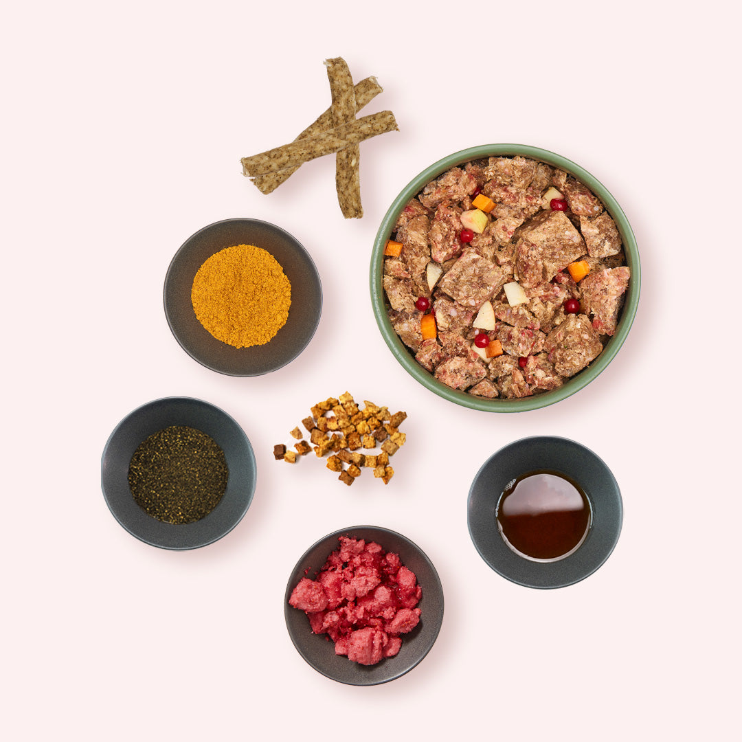 Starterpaket Welpe (+ gratis Geschenke)