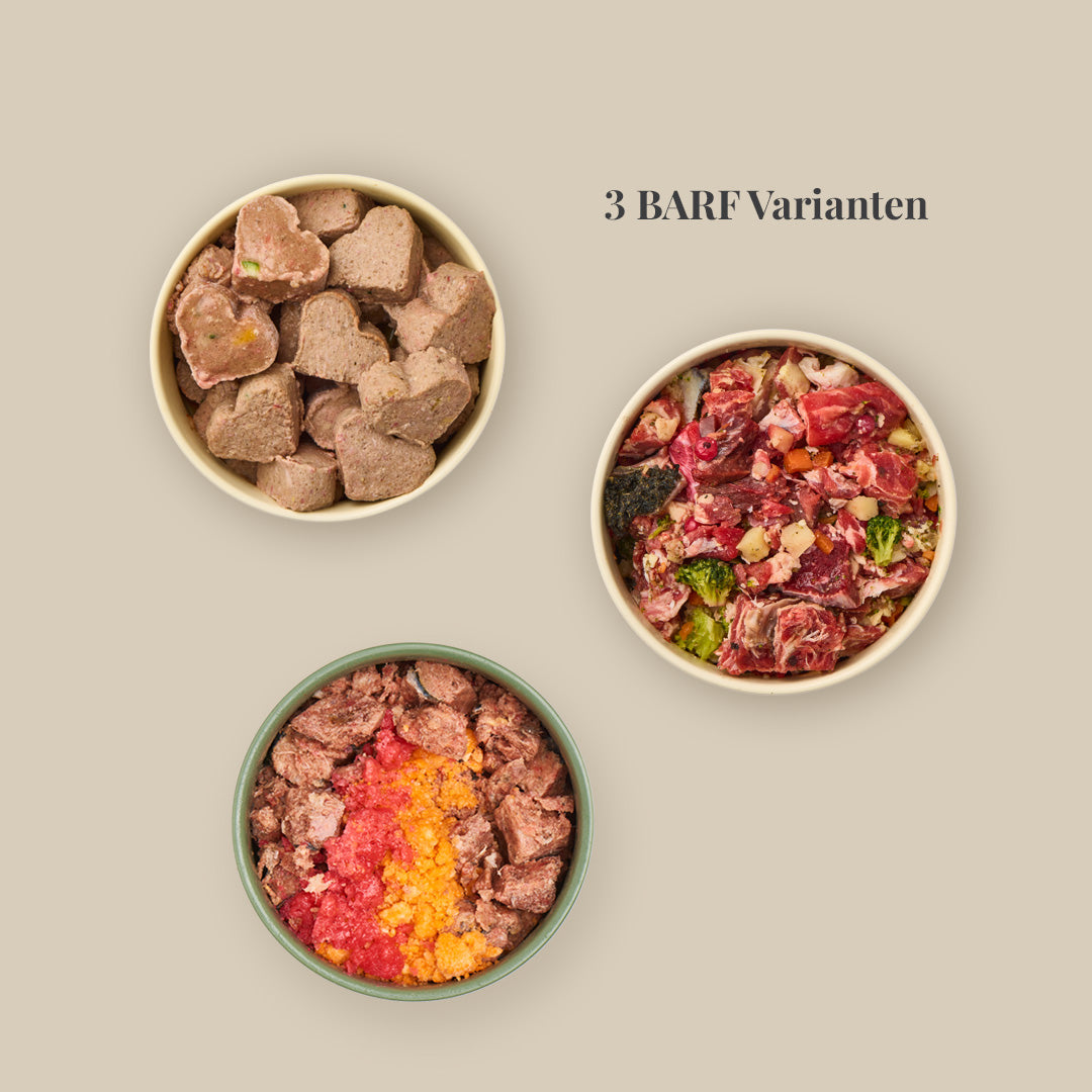 Starterpaket BARF-Variation
