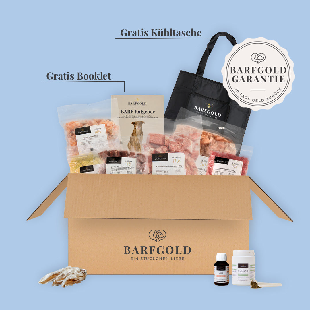 Starterpaket Der Individualist