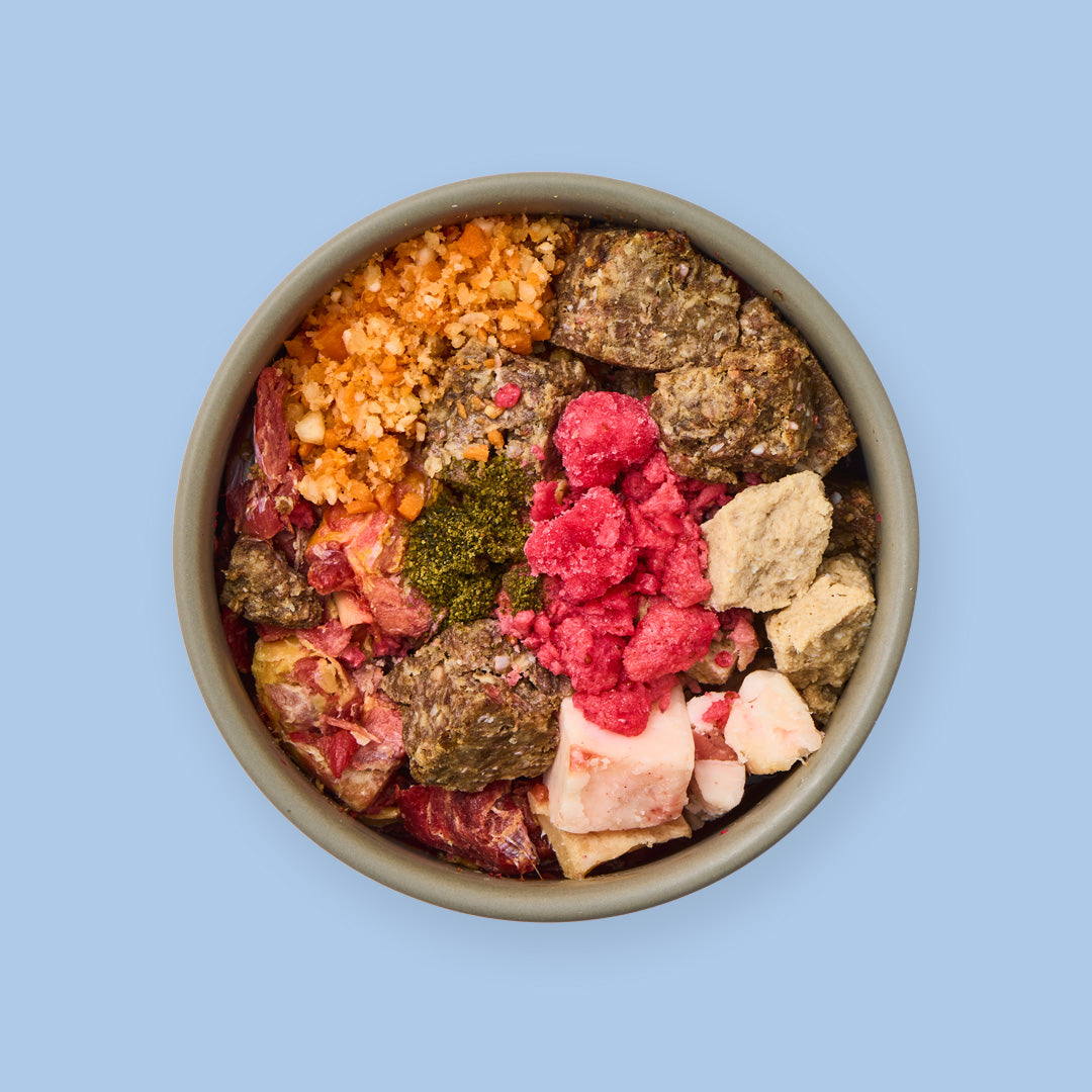 Starterpaket Der Individualist
