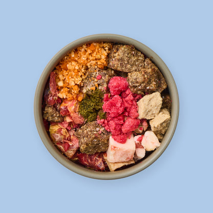 Starterpaket Der Individualist