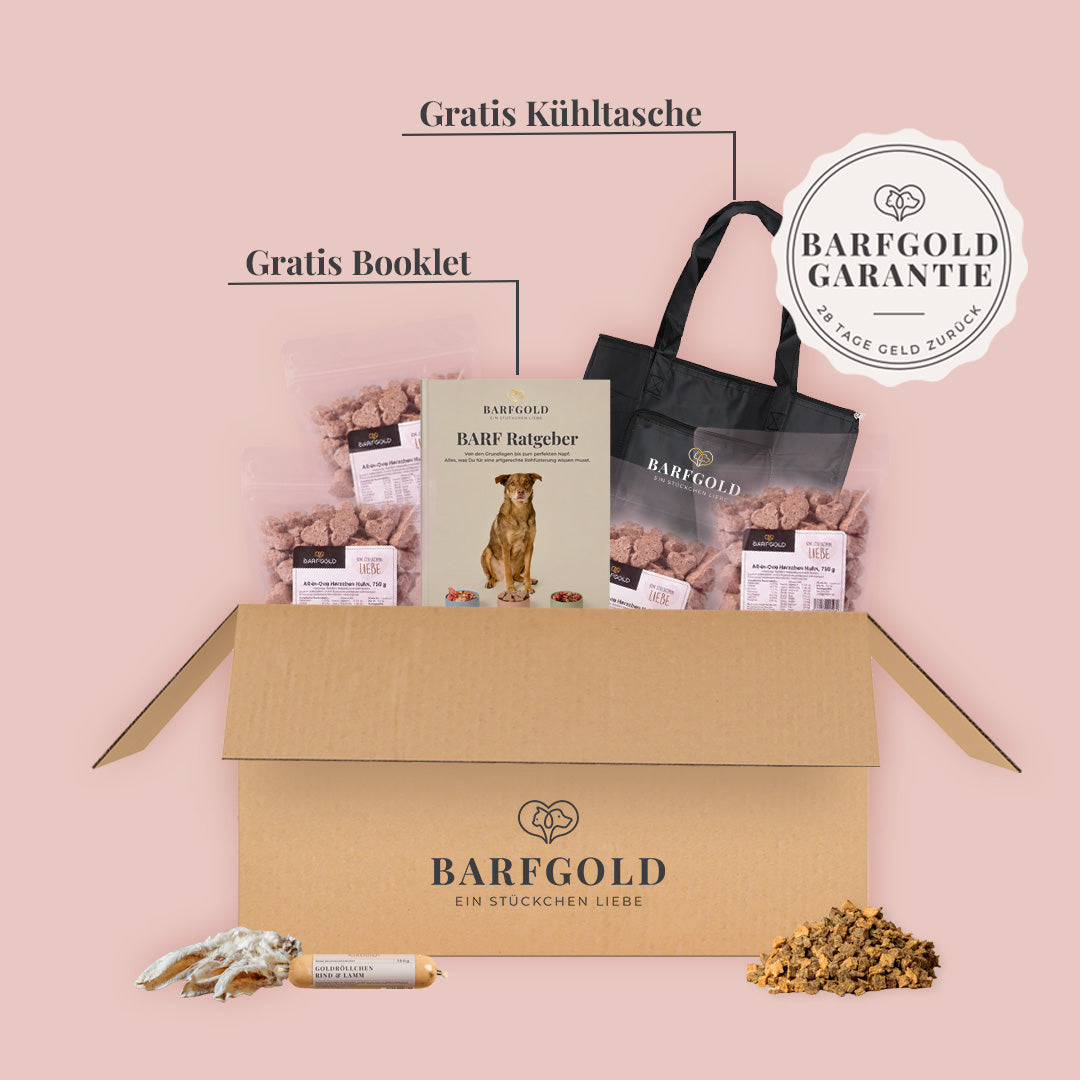 Starterpaket Der Zeitbewusste