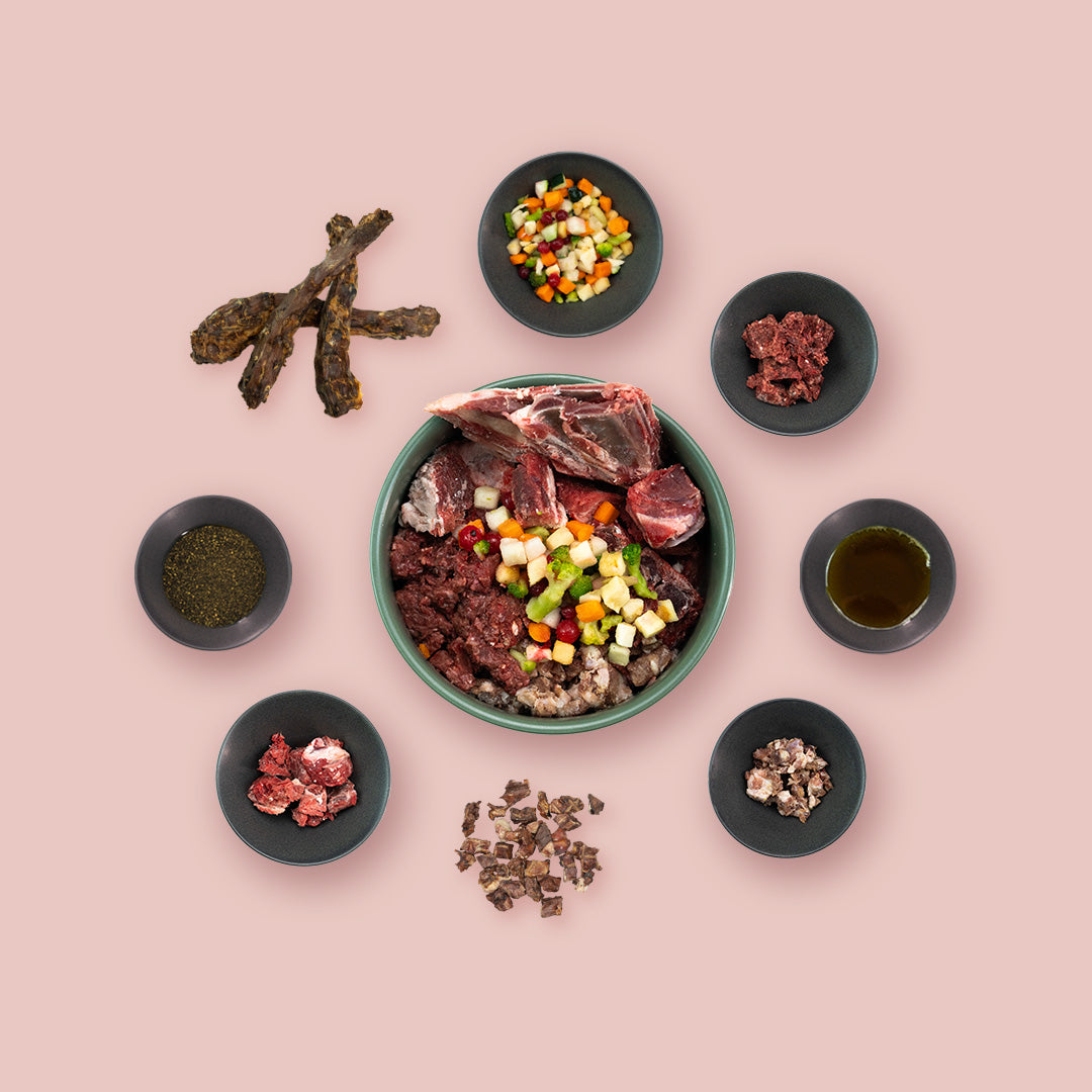 Starterpaket Gourmet