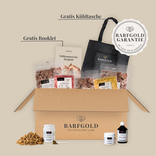 Starterpaket Senior