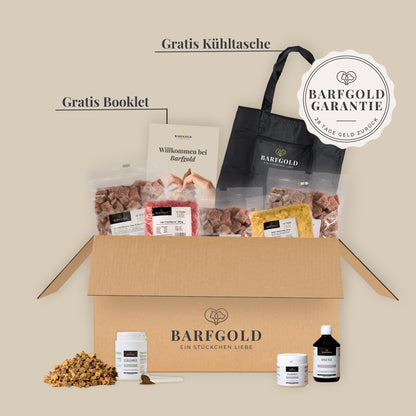 Starterpaket Senior
