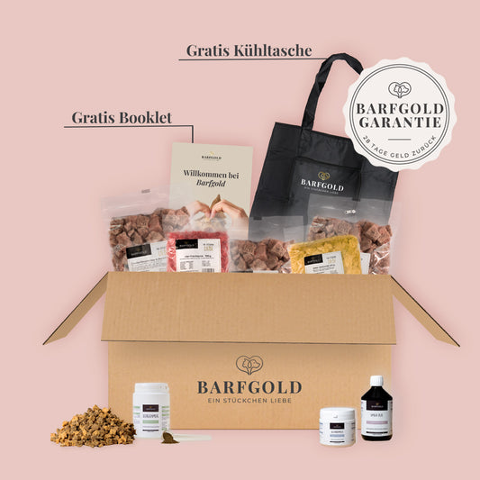 Starterpaket Senior