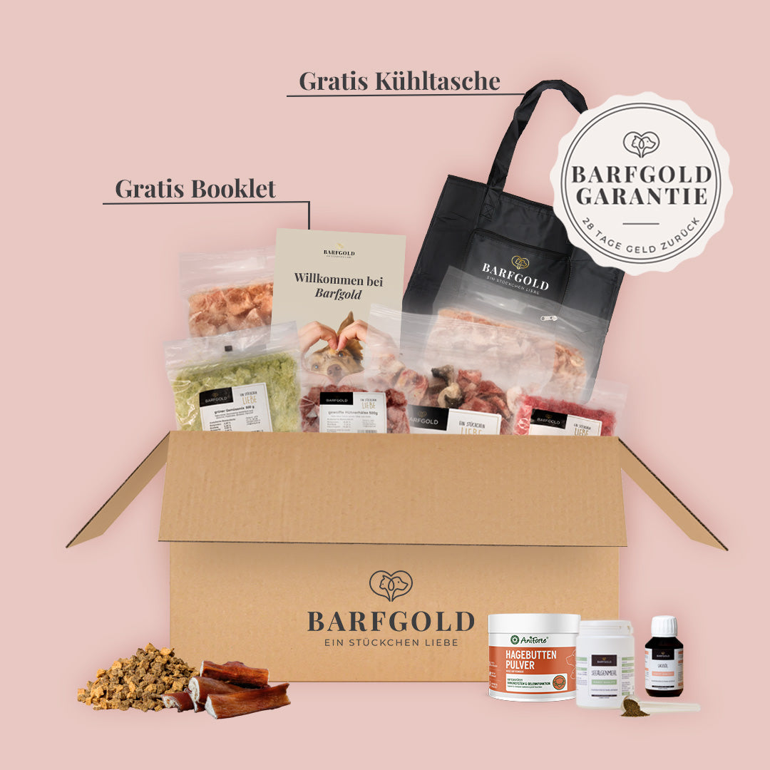Starterpaket Welpe