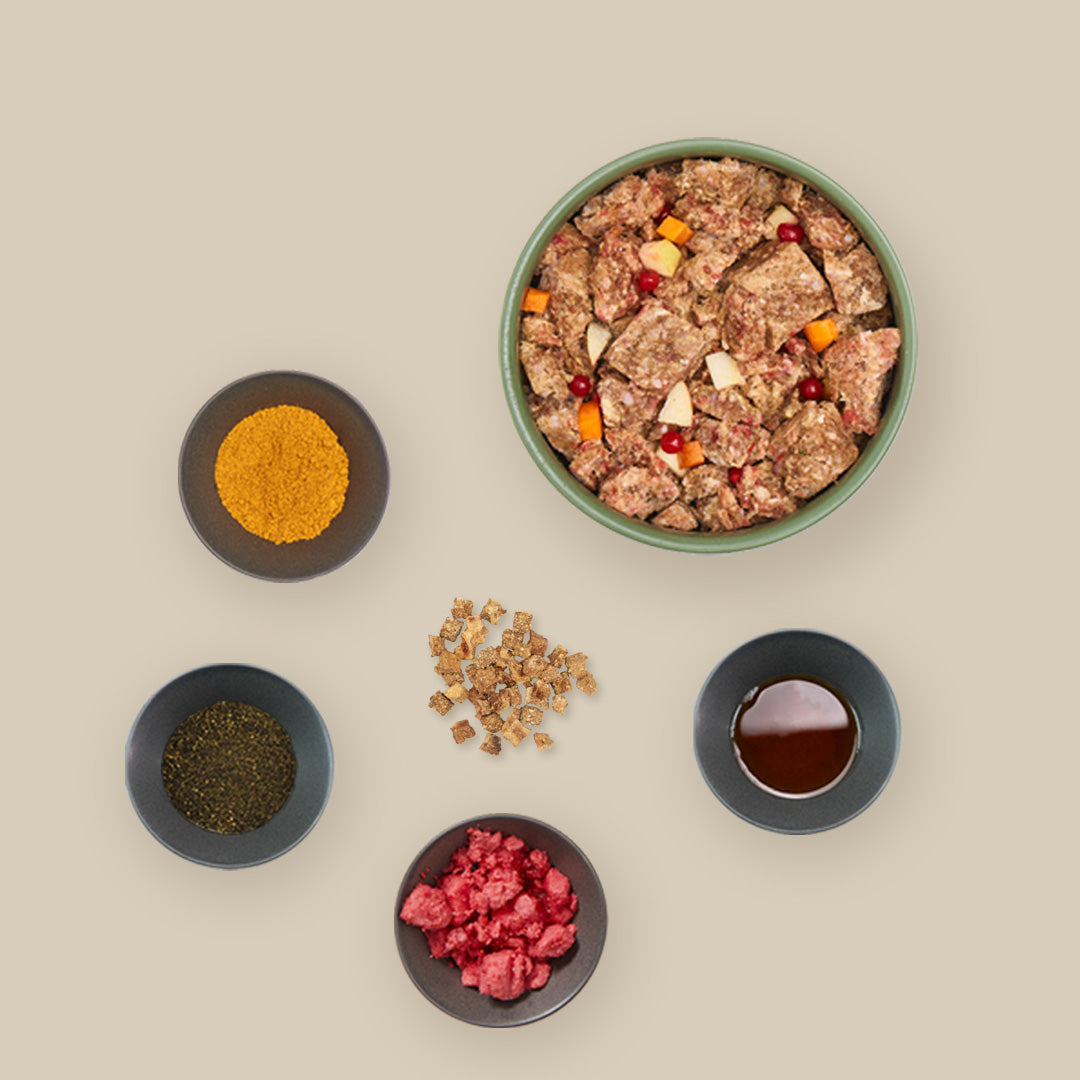 Starterpaket Welpe