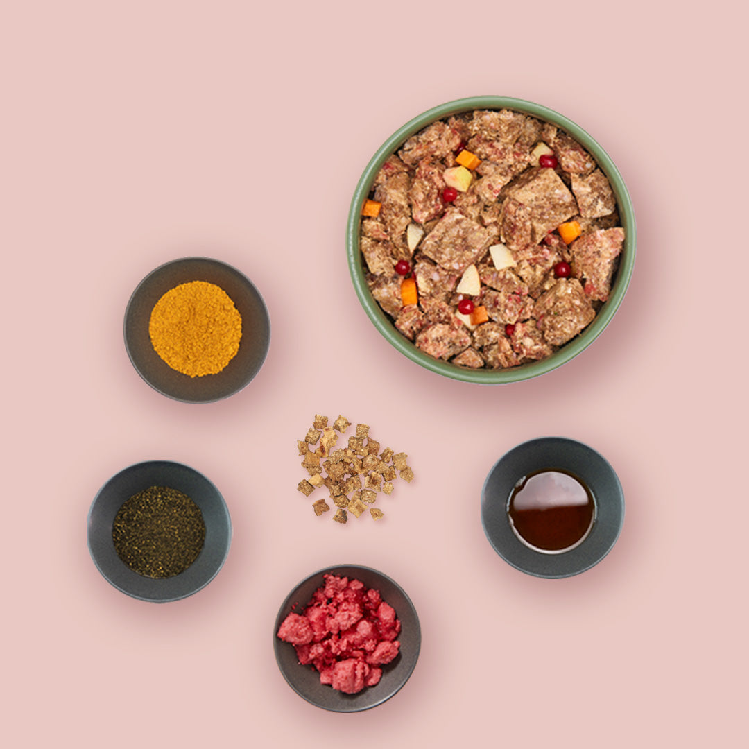 Starterpaket Welpe