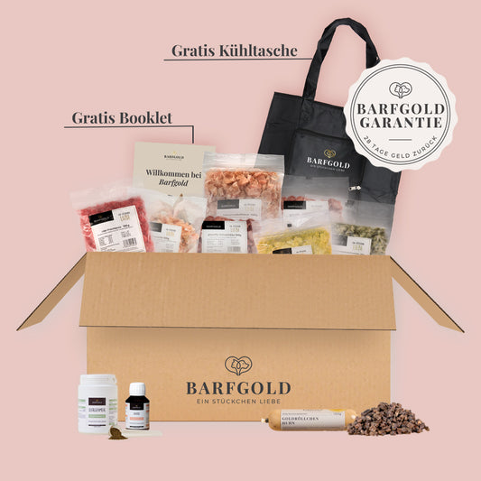 Starterpaket Welpe – für größere Rassen