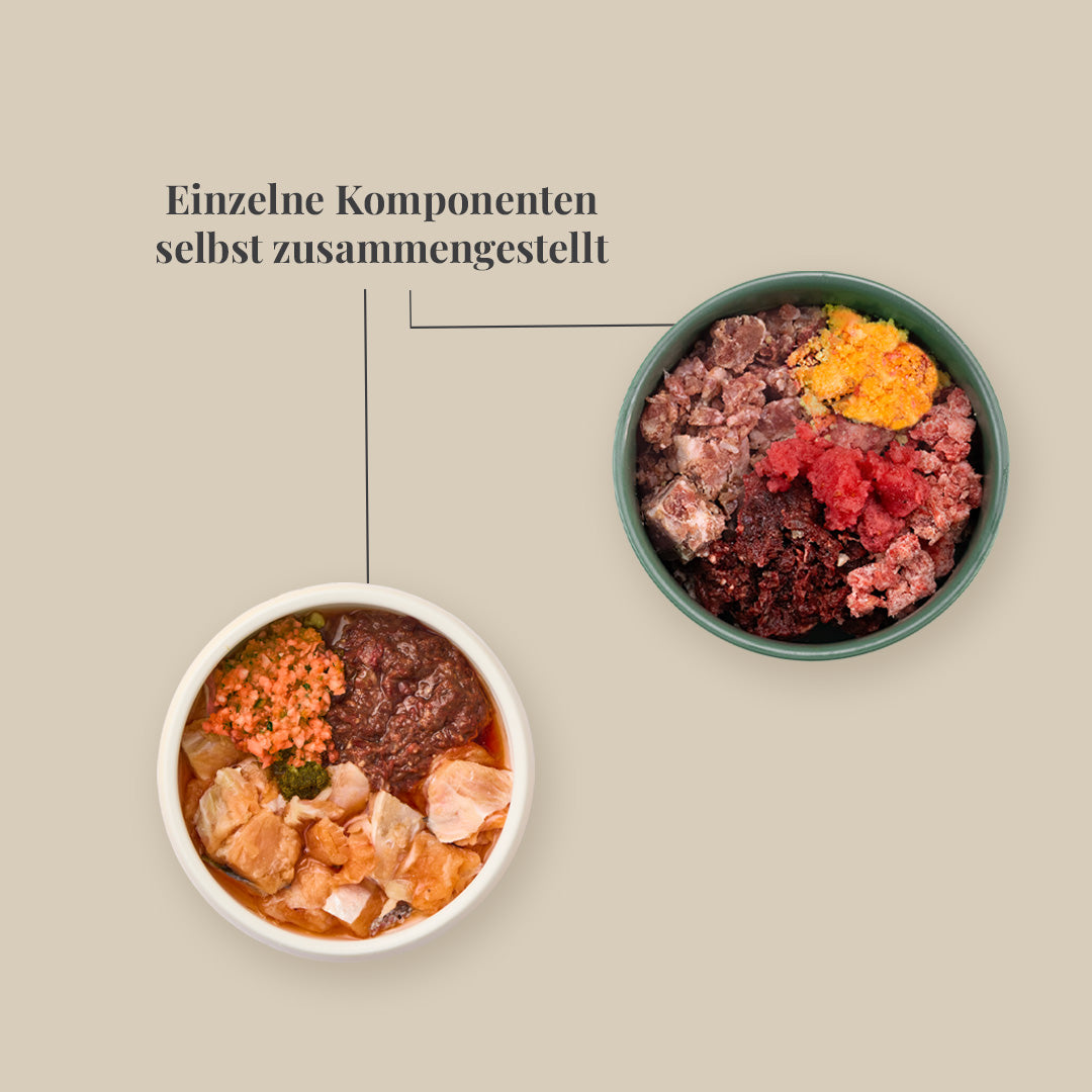 Starterpaket Welpe – für größere Rassen