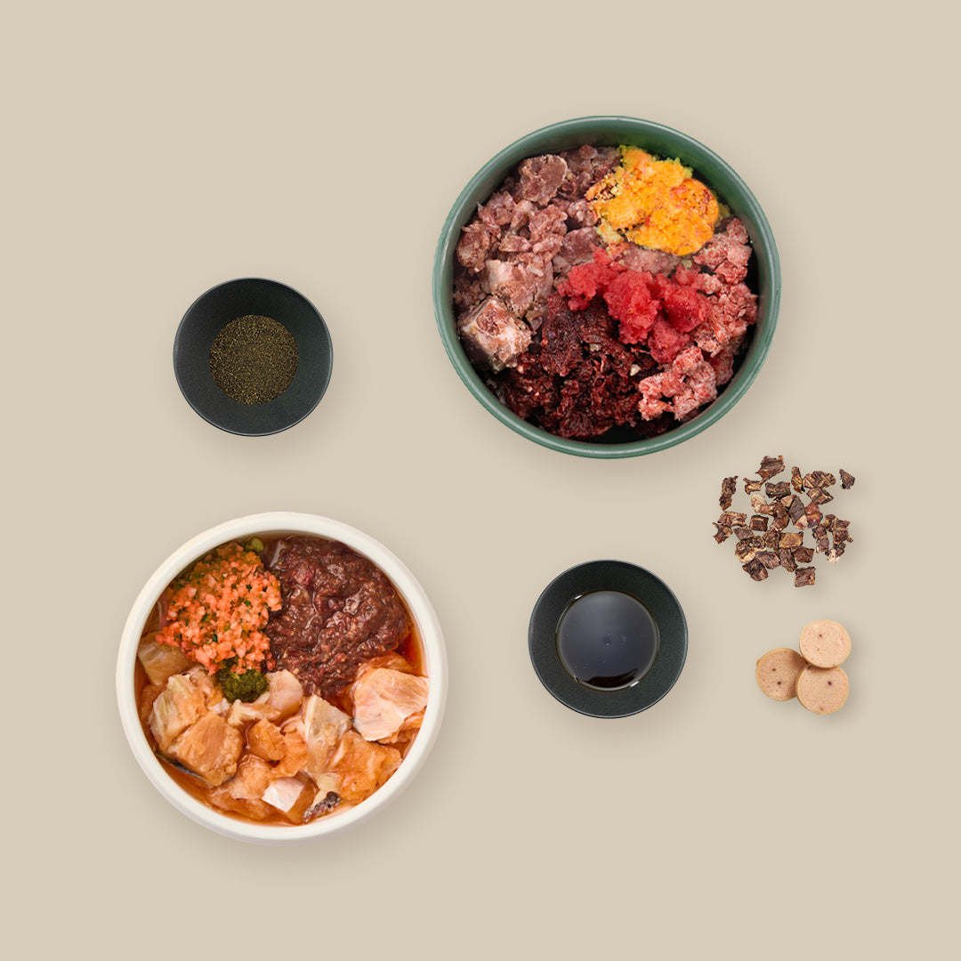 Starterpaket Welpe – für größere Rassen
