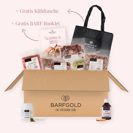 Starterpaket für kleine Hunde