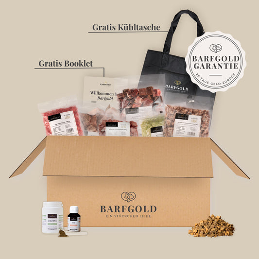 Starterpaket für kleine Hunde