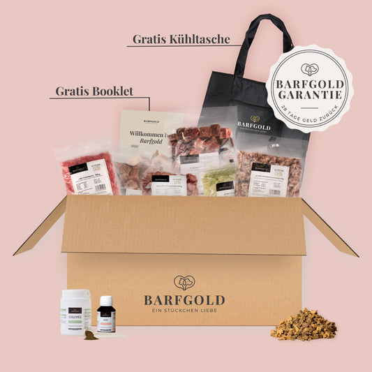 Starterpaket für kleine Hunde