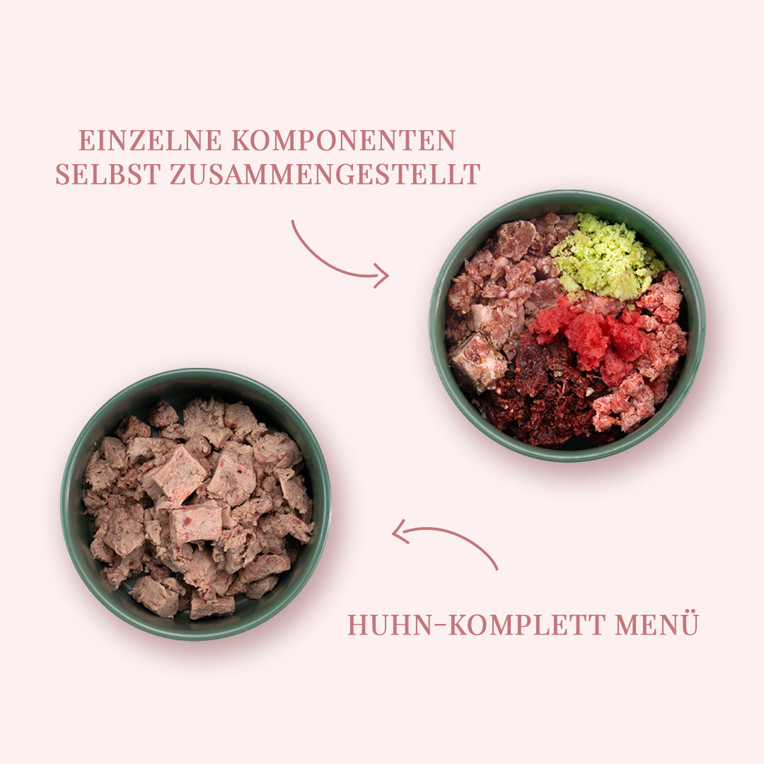 Starterpaket für kleine Hunde