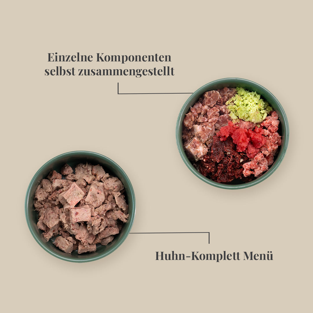 Starterpaket für kleine Hunde
