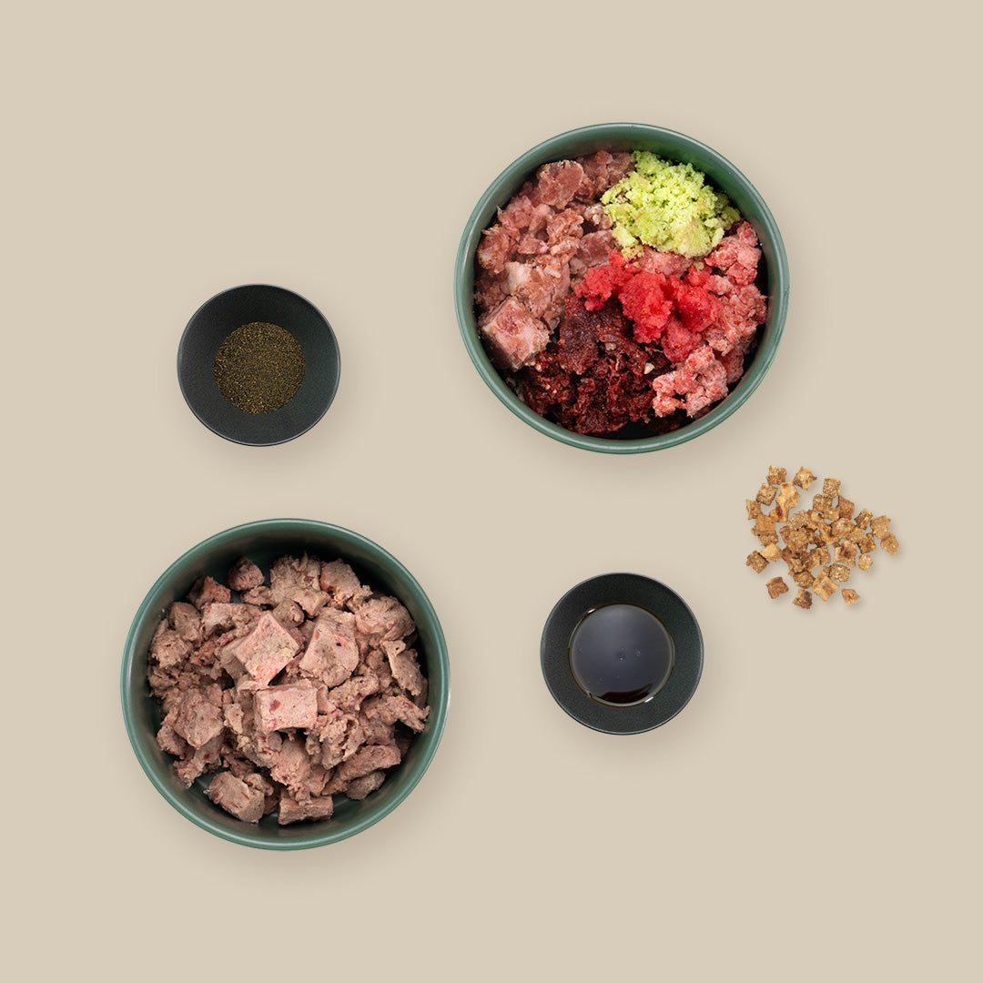 Starterpaket für kleine Hunde