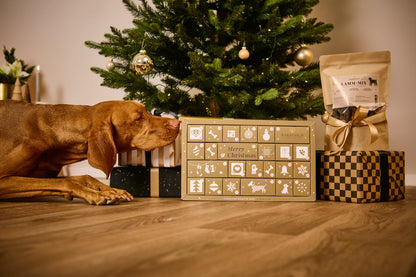 Premium Adventskalender 2026