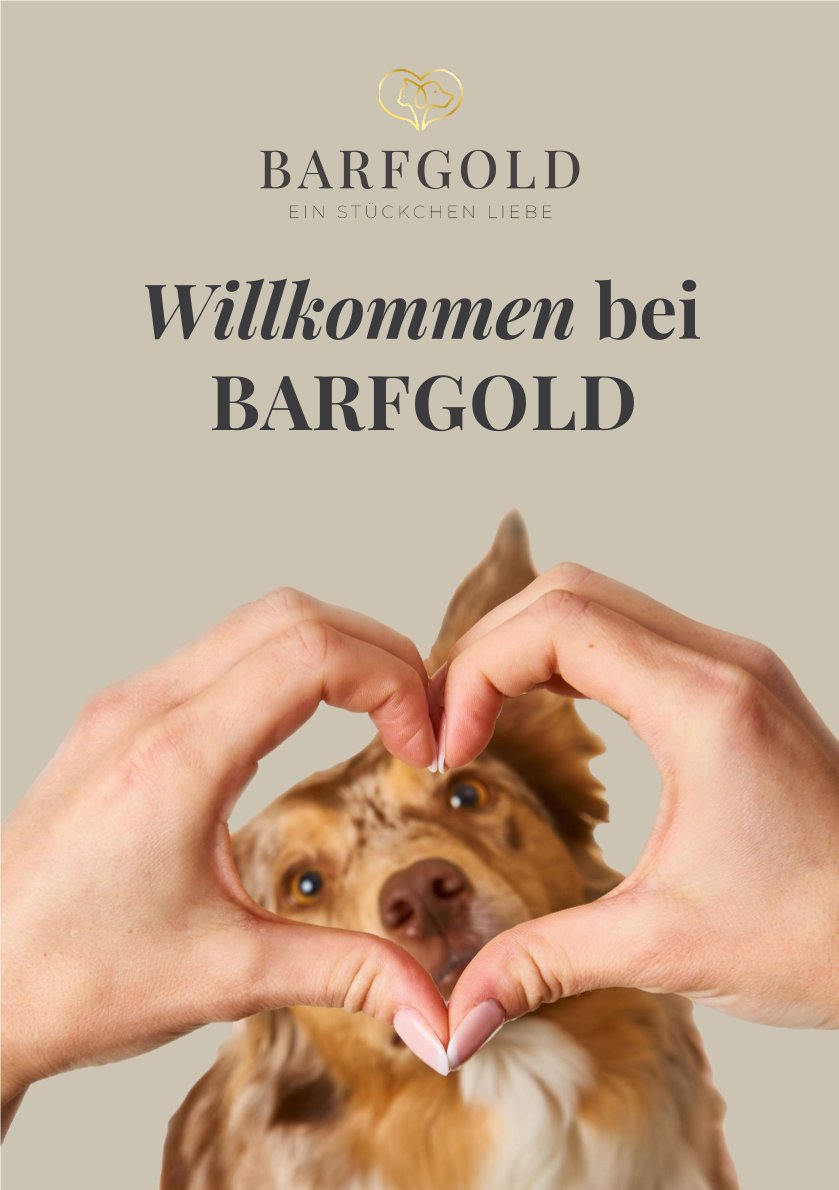 Starterpaket Welpe