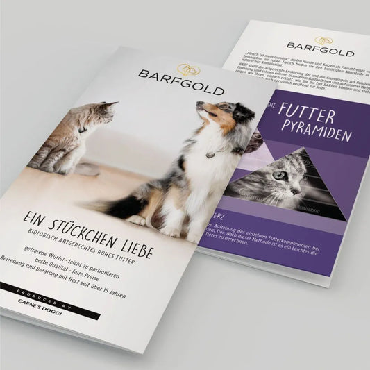 barfgold-infomaterial-flyer